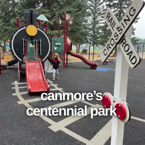Edmonton Playgrounds checks out the playground at Canmore's Centennial Park.