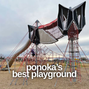 Ponoka's Best Playground has one of the biggest slides in Alberta.