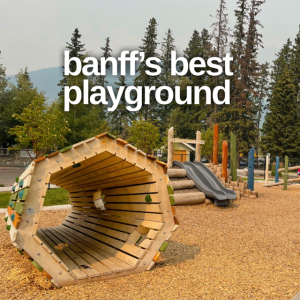 Edmonton Playgrounds reviews the best playground in Banff.