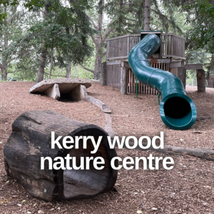 Edmonton Playgrounds explores the unique natural playground at the Kerry Wood Nature Centre.