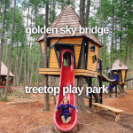 Edmonton Playgrounds Golden Sky Bridge Treetop Play Park 1