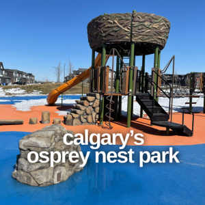 Calgary's Osprey Nest Park is one of the coolest theme parks we found in that city!