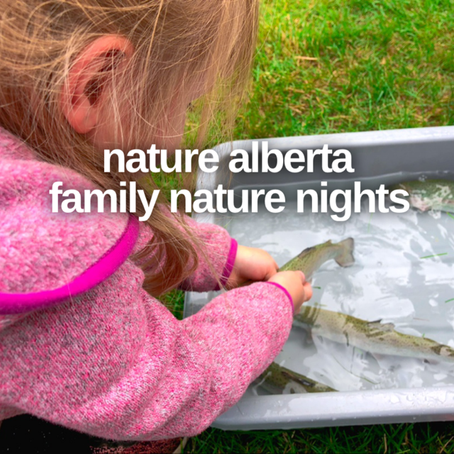 Natural Alberta offers fun, free Family Nature Nights in our province.