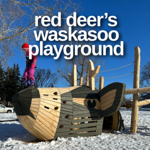 Red Deer's Waskasoo playground is another stunning animal playground in Alberta!