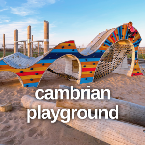 Cambrian playground is a gorgeous and colourful park.