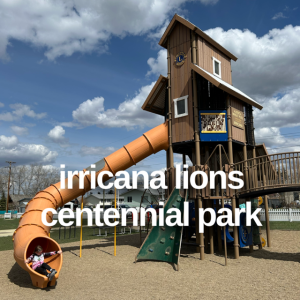 Edmonton Playgrounds shares the Irricana Lions Centennial Park in the town of Irricana.