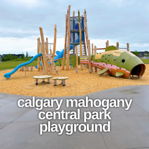Calgary Mahogany Central Park playground features a stunning fish!