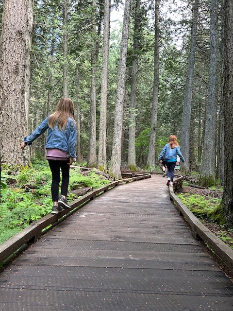 Giant Cedars Boardwalk Trail was a favourite stop in Glacier National Park! 