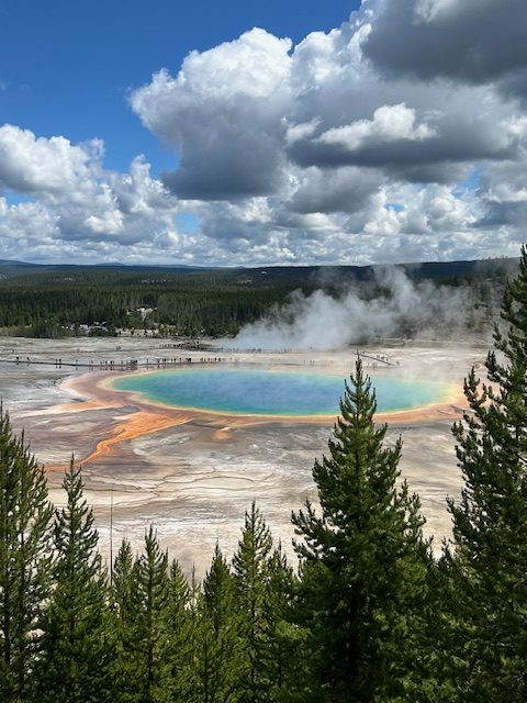 Grand Prismatic was my favourite thing in Yellowstone National Park! 