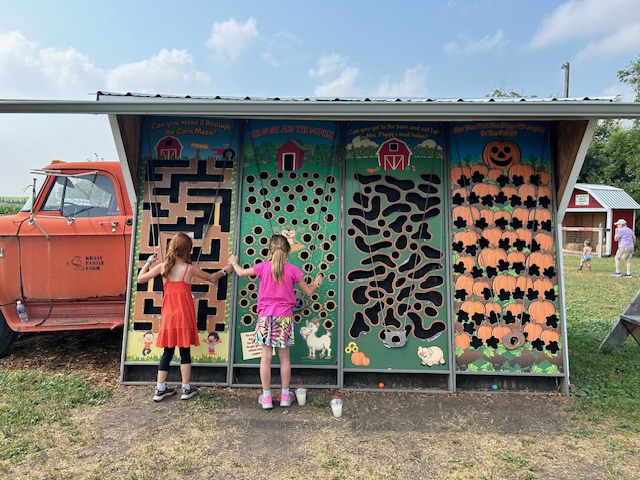 These ball mazes were challenging and fun at Kraay Family Farm