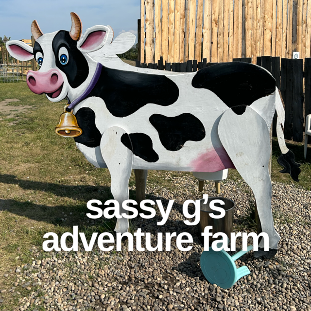 There is tons of farm fun to enjoy at Sassy G's Adventure Farm