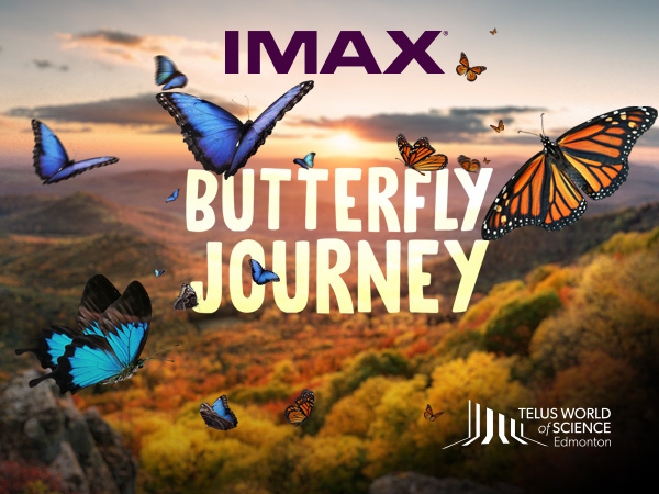 Edmonton Playgrounds Butterfly Journey in IMAX at TELUS World of Science Edmonton AD 1