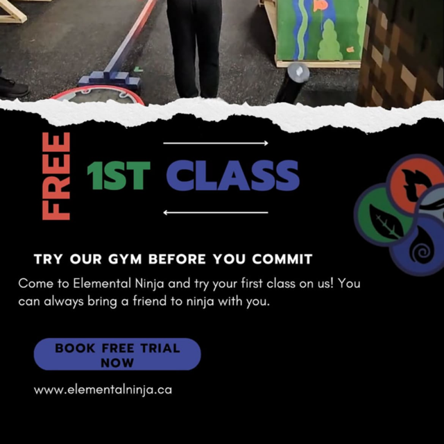 Elemental ninja ad