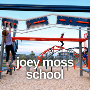 Edmonton Playgrounds Best Ninja Playgrounds in Edmonton and area Joey Moss School Playground