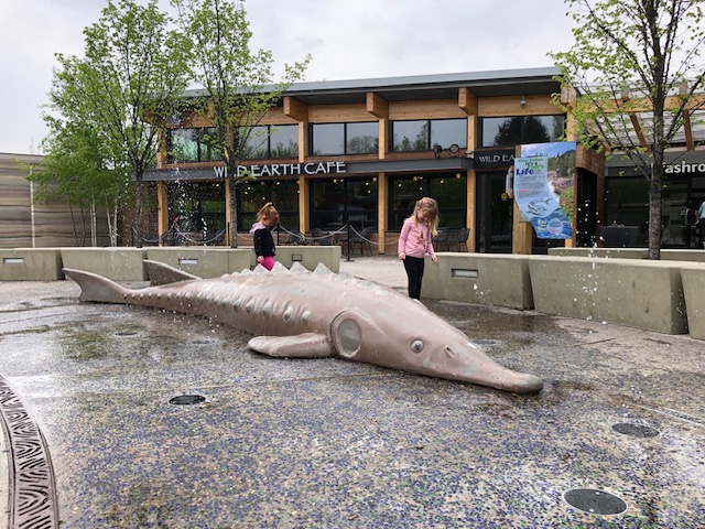Edmonton Playgrounds Edmonton Fountains Edmonton Valley Zoo  Sturgeon Fountain 