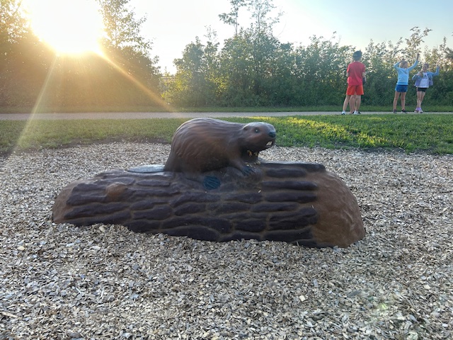 Willow and Birch, the beavers, are some of the critters you'll find in Heritage Trails Park