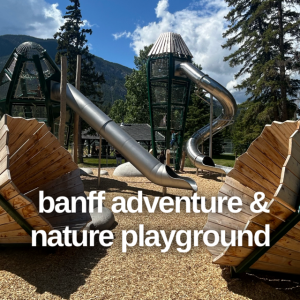 Edmonton Playgrounds Banff Adventure and Nature Playground 1