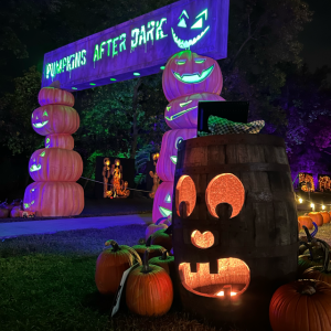 Edmonton Playgrounds Pumpkins After Dark 1