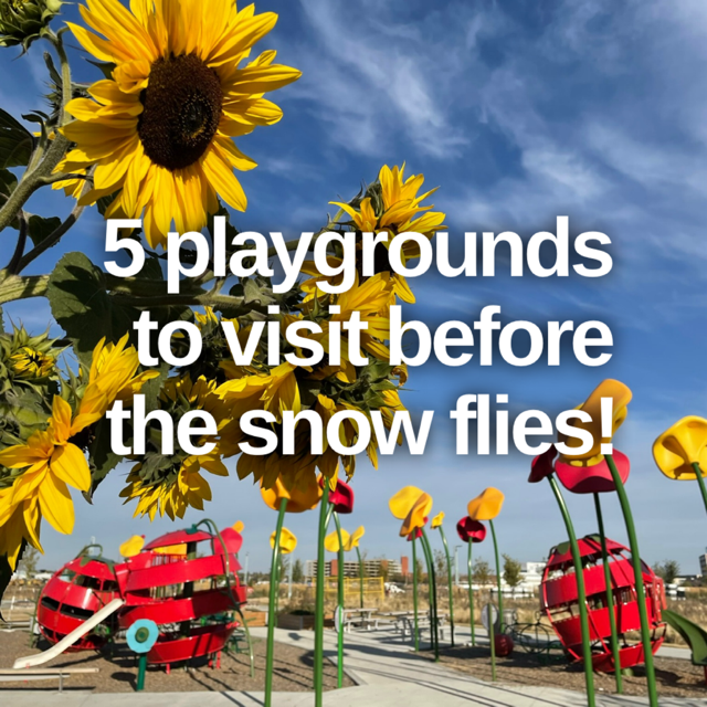 5 Playgrounds to Visit before the Snow Flies!