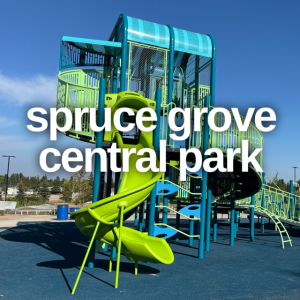 Spruce Grove's newest playground is located at Spruce Grove Central park