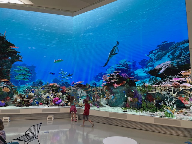 The Living Reef is one of the features on The Wall at Stanley A Milner Library
