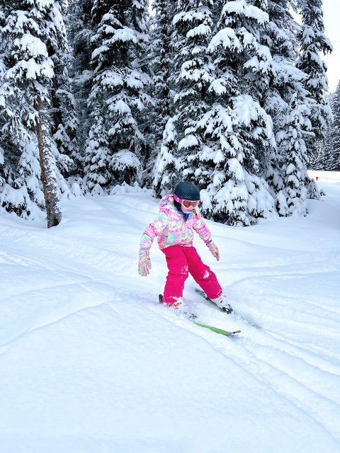 Edmonton Playgrounds Jasper Marmot Basin Ski Marmot 3