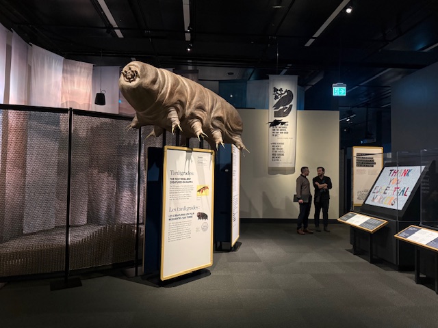Edmonton Playgrounds Death: Life's Greatest Mystery at Royal Alberta Museum Edmonton