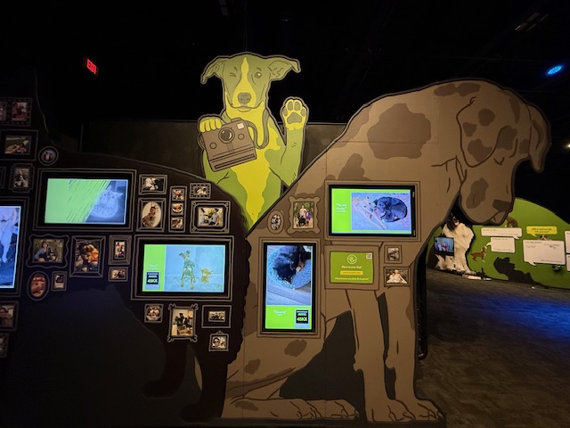 Add photos of your dog to the exhibition Dogs! A Science Tail at TELUS World of Science Edmonton