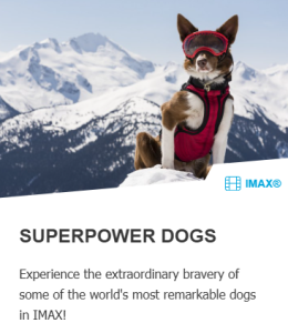 Edmonton Playgrounds TELUS World of Science Edmonton Superpower Dogs 1