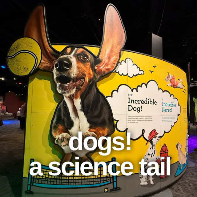Dogs! A Science Tail