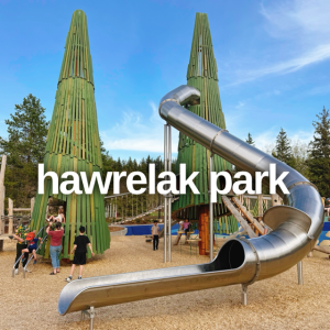Edmonton Playgrounds Hawrelak Park New Playground 100