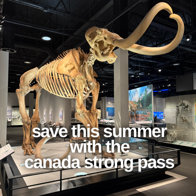 Canada Strong Pass