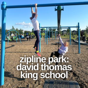 Edmonton Playgrounds Zipline Park David Thomas King School