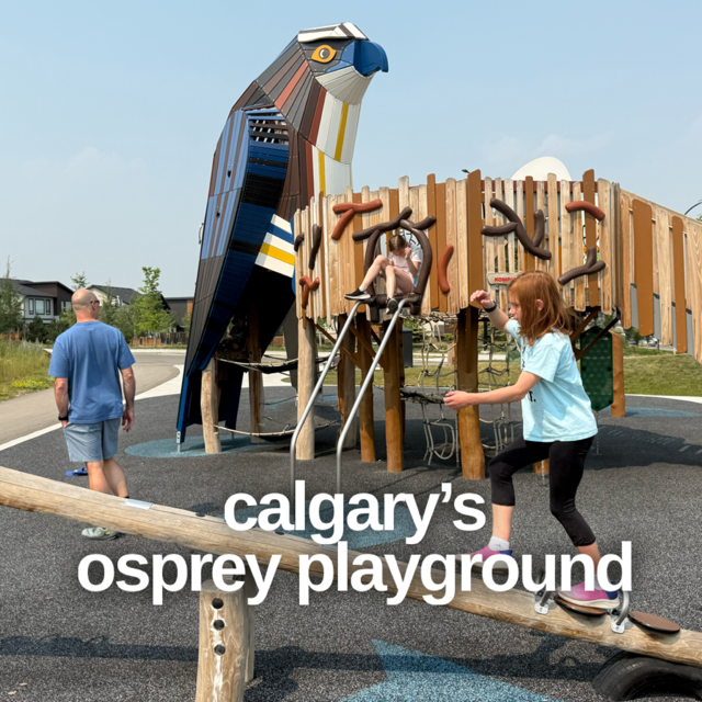 Calgary’s Osprey Playground