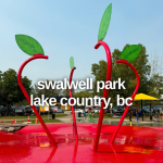 Swalwell Park is home to an amazing playground in Lake Country BC