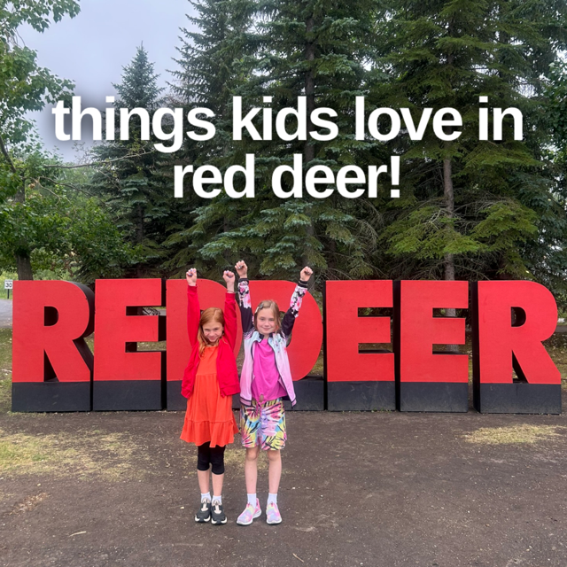 Edmonton Playgrounds Things kids love in Red Deer